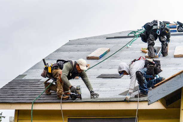 Professional Roof Replacement technician working in Wolf Lake, MI